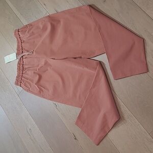 Sweaty Betty Ankle Pants in Terracotta